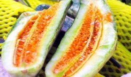 如何免费吃网红热瓜,轻松解锁美食盛宴